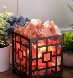 Specialty Salt Lamps